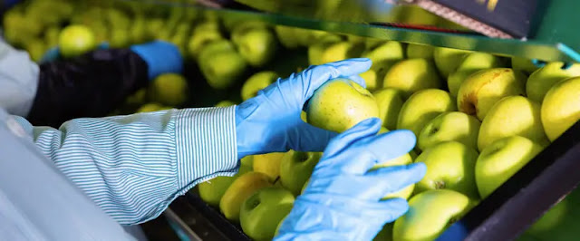 Food processing and distribution Food processing and distribution