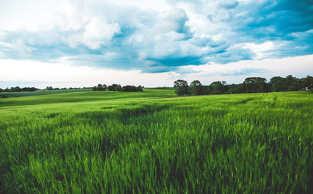 Agricultural supply and services Agricultural supply and services