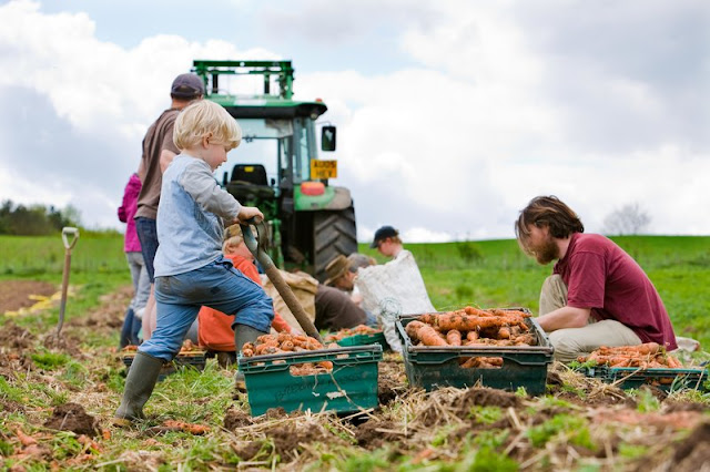 Community-supported agriculture (CSA) Community-supported agriculture (CSA)